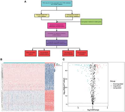 Dissecting the effect of sphingolipid metabolism gene in progression and microenvironment of osteosarcoma to develop a prognostic signature